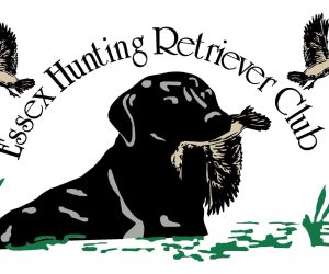 2026-07-29-retrieverclub