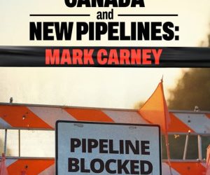 597864727_1244233747524576_496911070571673753_n